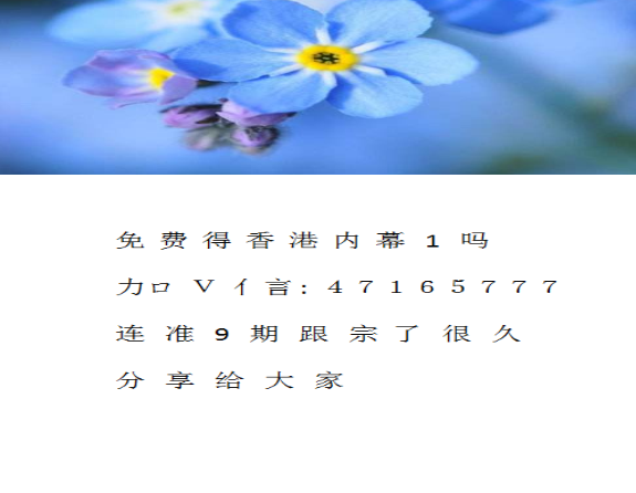 香港今晚开马开奖现场直播,数据整合方案实施_投资版121,127.13