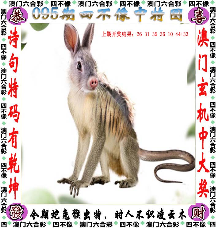 澳门一肖一码100%真假,最新热门解析实施_精英版121,127.13