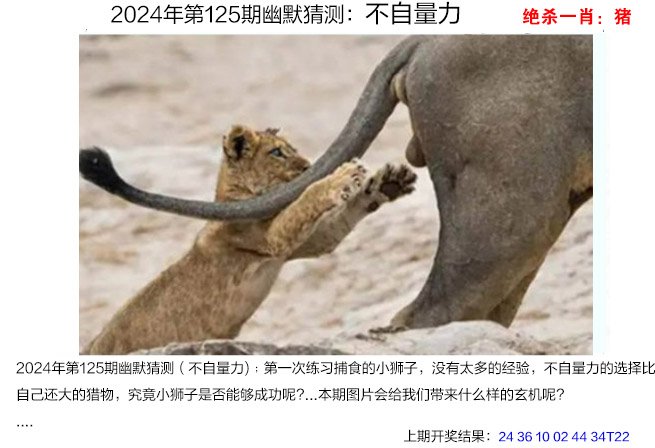 牛魔王精准四肖选一肖澳门,豪华精英版79.26.45-江GO121,127.13