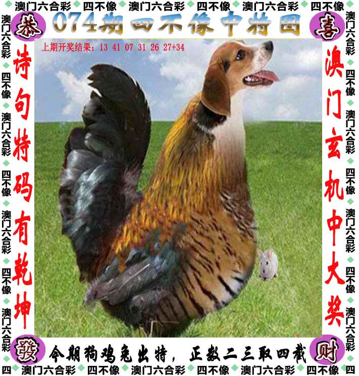 澳彩资料大全部,豪华精英版79.26.45-江GO121,127.13