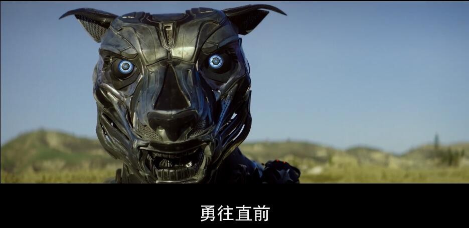 成全科幻电影迅雷,效能解答解释落实_游戏版121,127.12