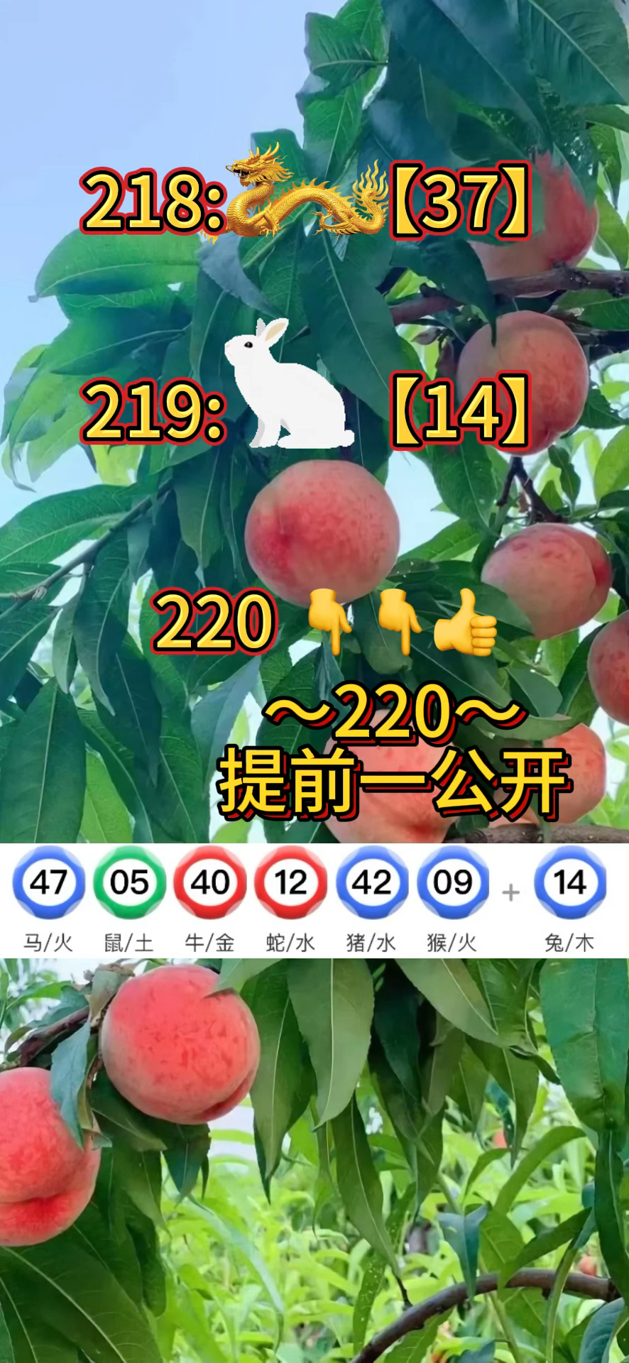 2024年71期新澳门资料,最新答案动态解析_vip2121,127.13