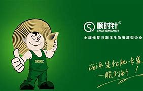 澳门精准三肖三码必中特安卓版,豪华精英版79.26.45-江GO121,127.13
