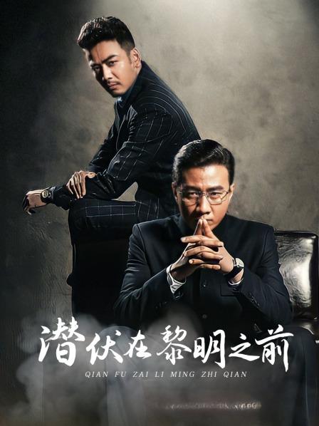 潜伏在黎明之前电视剧全集免费观看,数据解释落实_整合版121,127.13