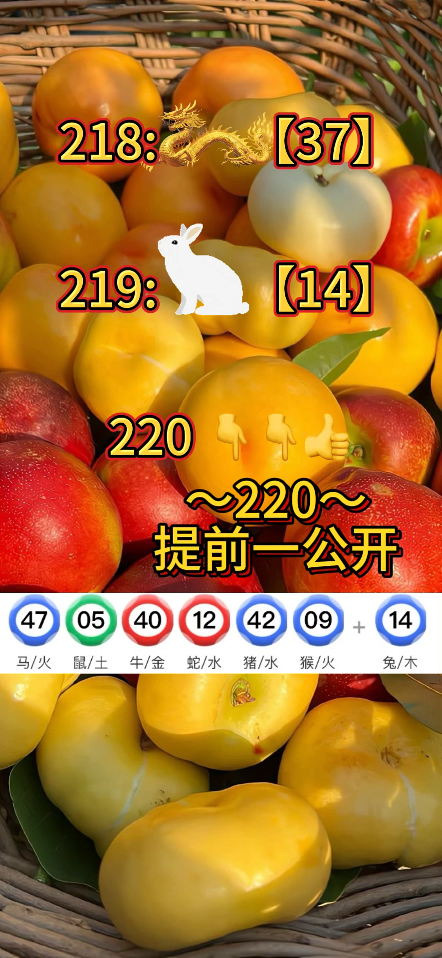 澳门新特马,豪华精英版79.26.45-江GO121,127.13