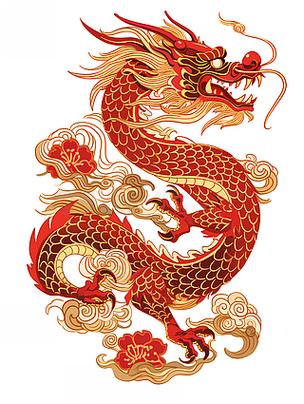 2025年天天开彩免费大全和中国龙再添新成员与中国龙 igs