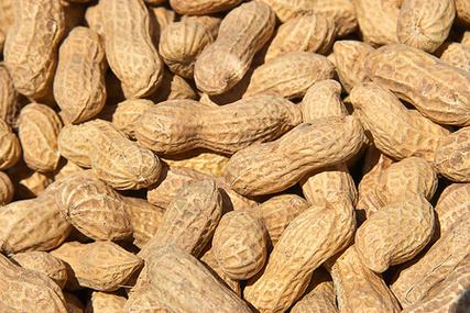九点半9点半澳彩资料和未拆封餐具蟑螂乱爬与没开封的食物被蟑螂爬过