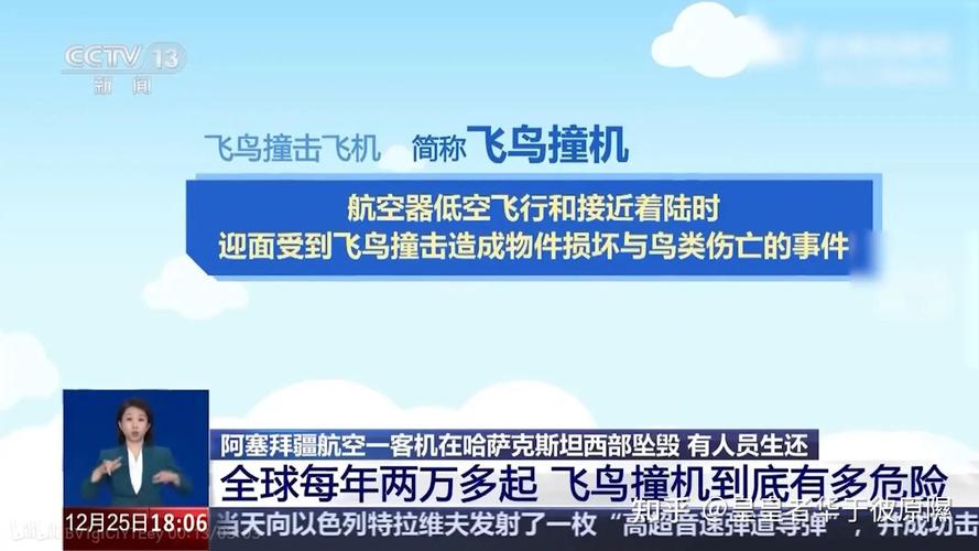 2025年新澳今晚资料大全和韩国发生飞机坠毁与韩国发生飞机坠毁事件