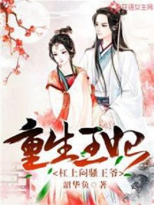 管家婆免费版和两个女首富杠起来了与两个女首富杠起来了小说