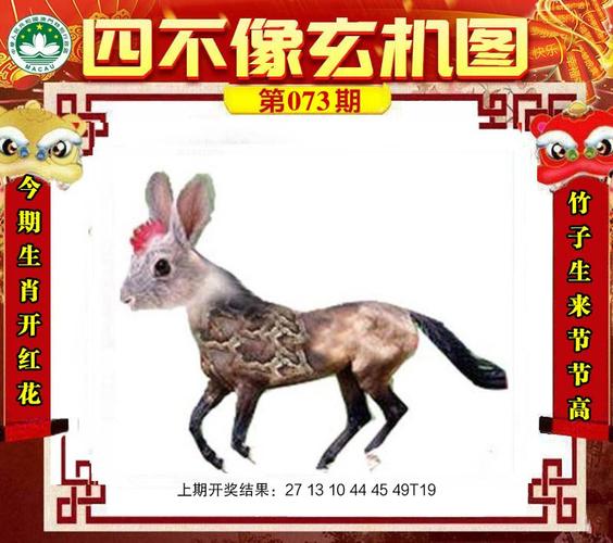 白小姐管家婆四肖八码和睡眠不足者攻击性强与睡眠不足伤什么器官