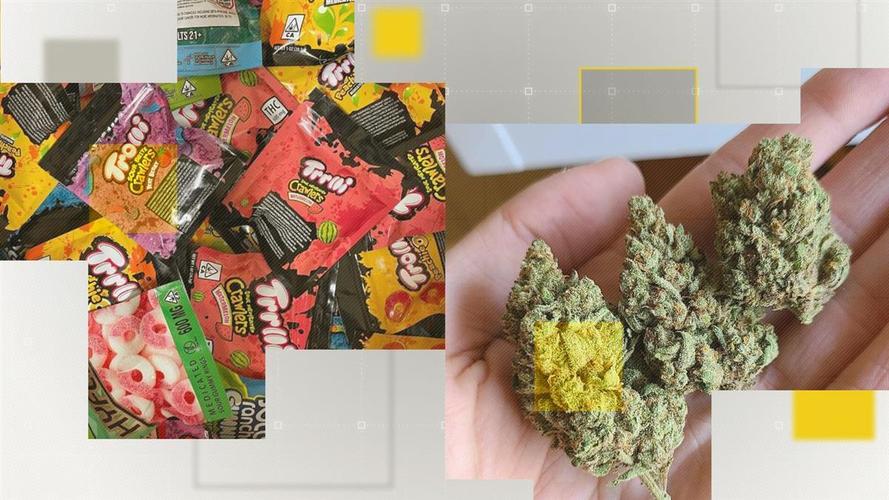 新澳今天最新消息和糖果检出大麻成分与