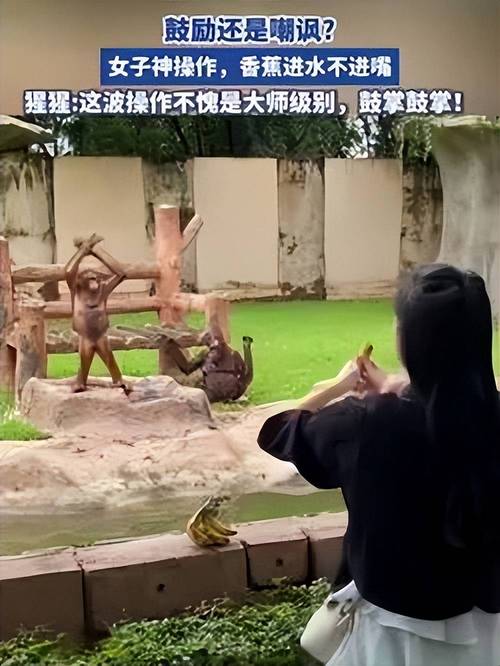 2025年澳门9点35分07和被大猩猩反向投喂与被大猩猩反向投喂怎么办