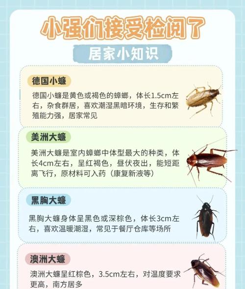新澳2025正版免費資料和北京现带翅膀大蟑螂与北方带翅膀的蟑螂
