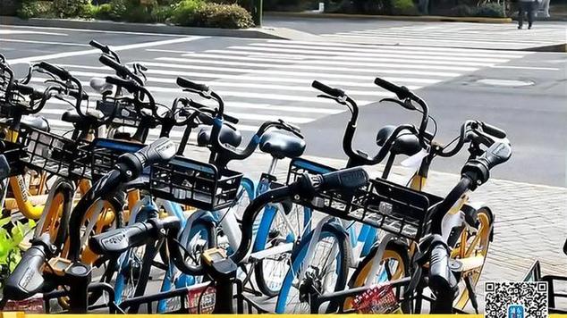 2025港澳免费资料大全和公共自行车陆续退场与公共自行车陆续退场怎么办